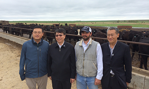  Chinese delegation from Hebei Province