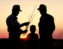 Farmers at sunset