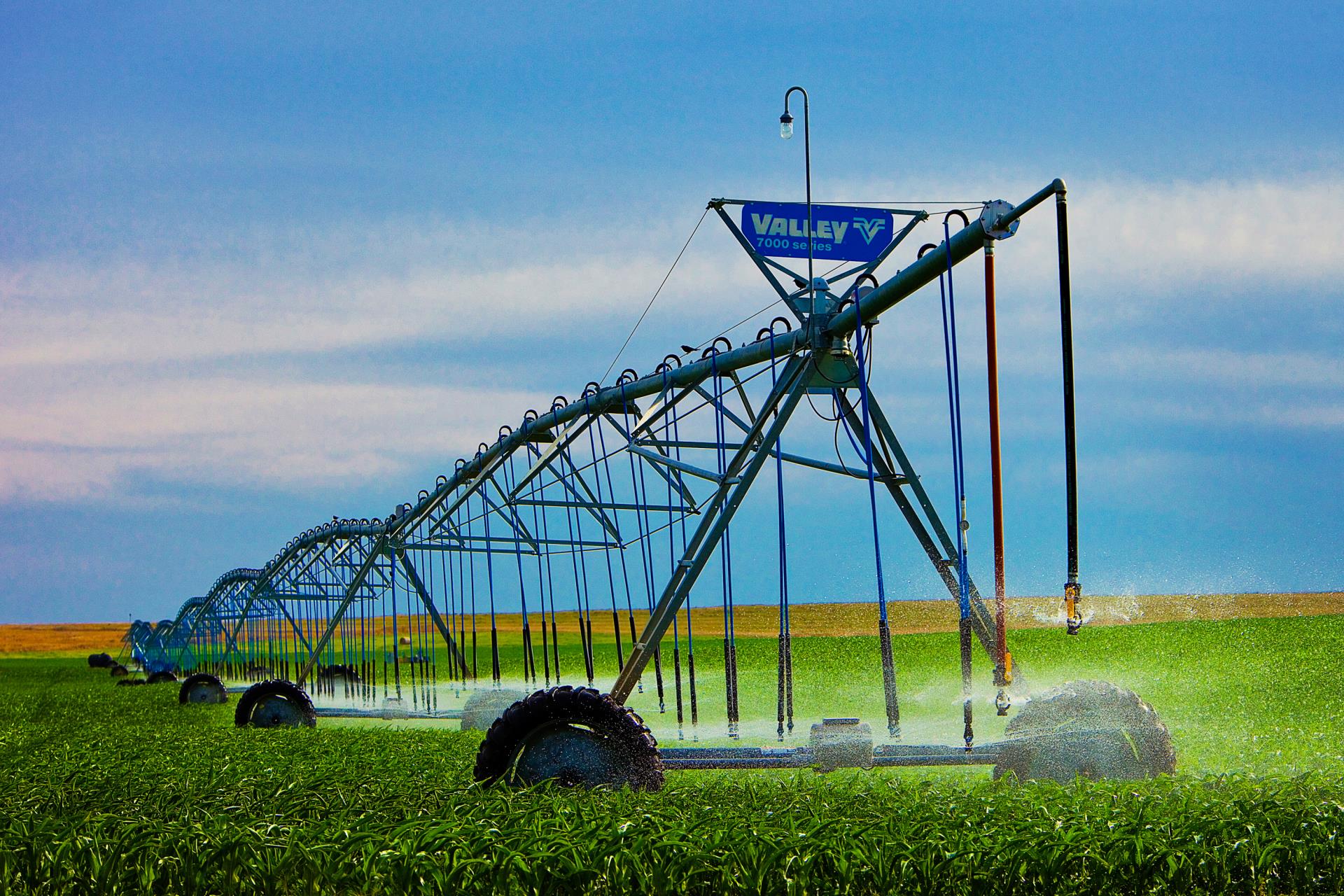 Ross Irrigation