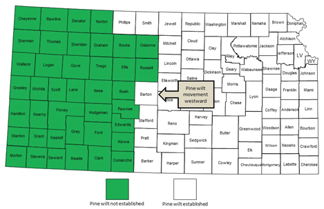 Pine wilt movement westward