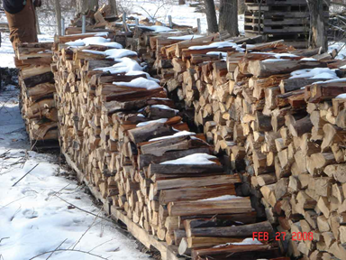 Firewood