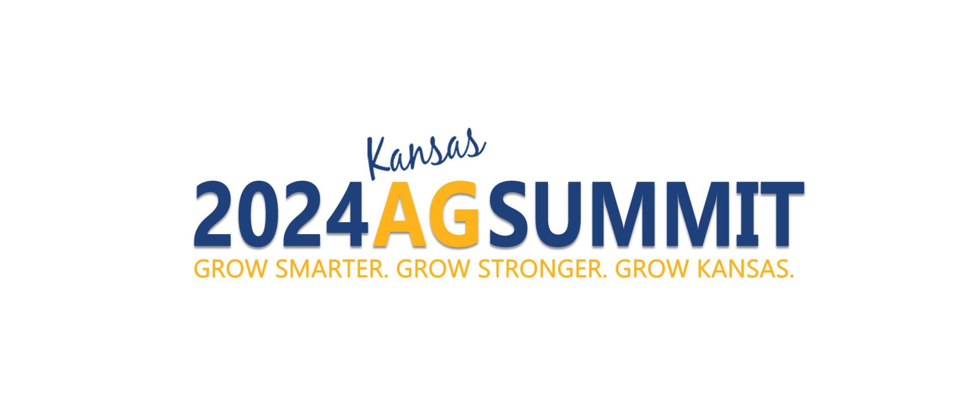 2024 Summit Logo